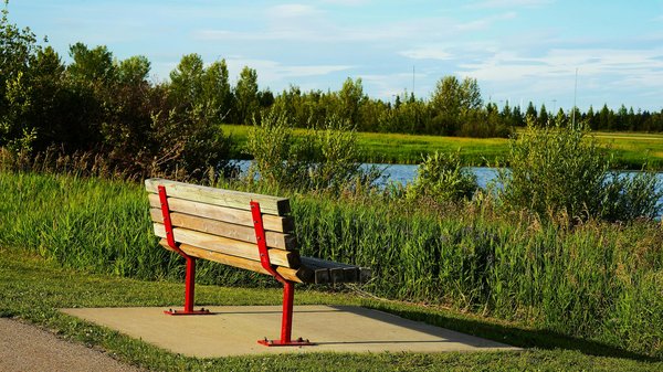 La place des volontaires dans les soins palliatifs